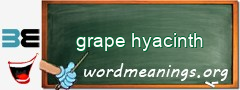 WordMeaning blackboard for grape hyacinth